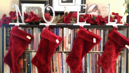 NOEL Christmas Stockings bookcase