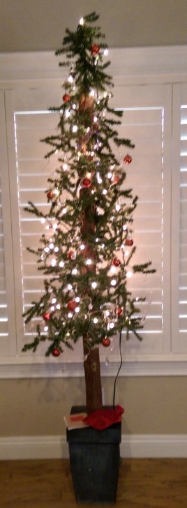 Tall thin christmas tree